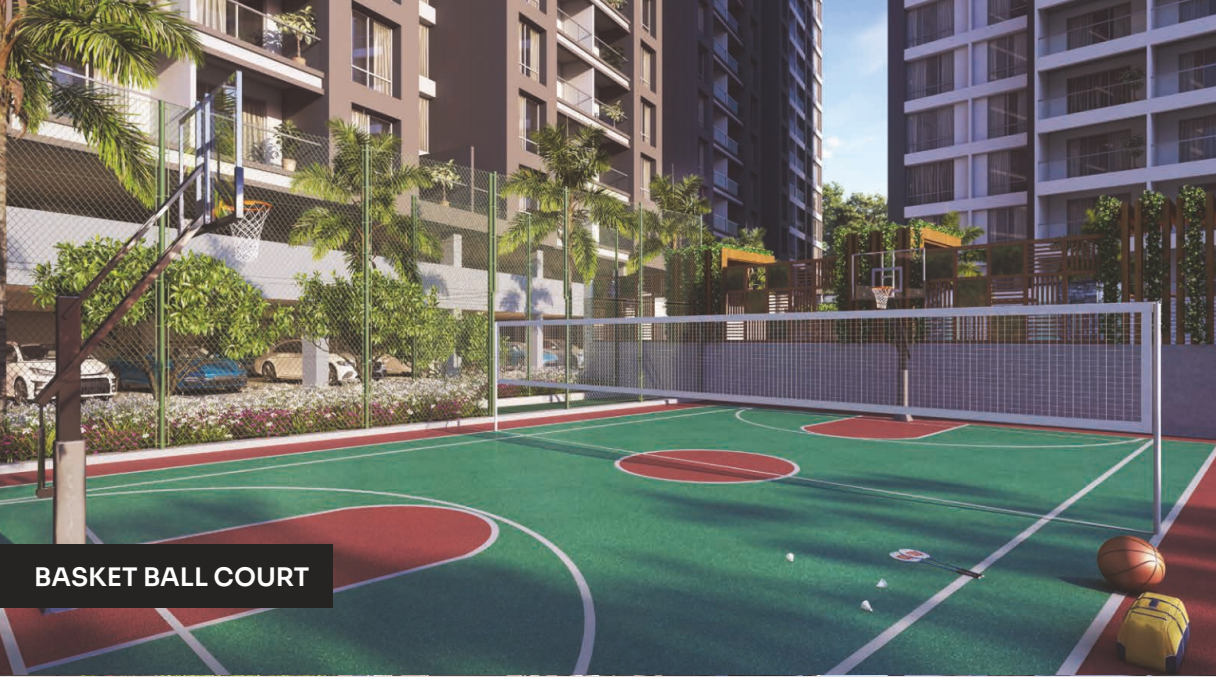 Basketball Court